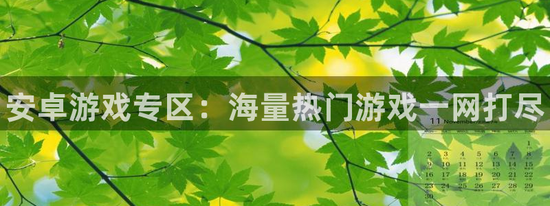 赢咖娱乐下载：安卓游戏专区：海量热门游戏一网打尽
