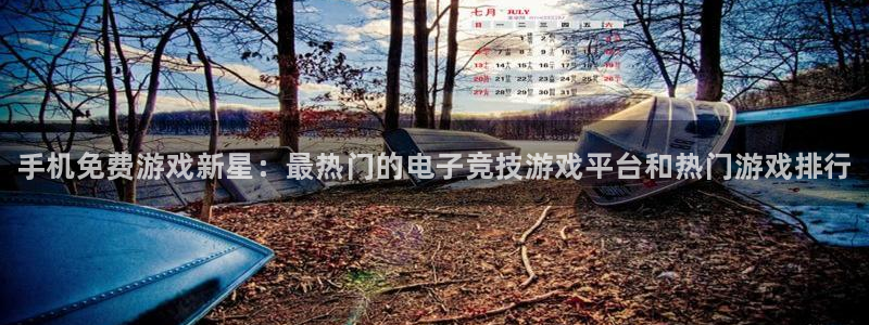 赢咖娱乐登陆测速：手机免费游戏新星：最热门的电子竞技游戏平台