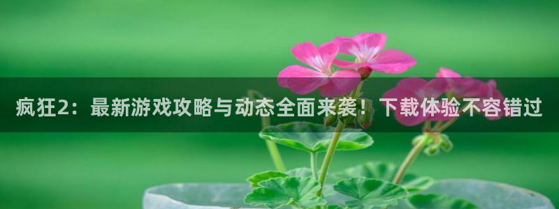 赢咖娱乐咨询：疯狂2：最新游戏攻略与动态全面来袭！下载体验不