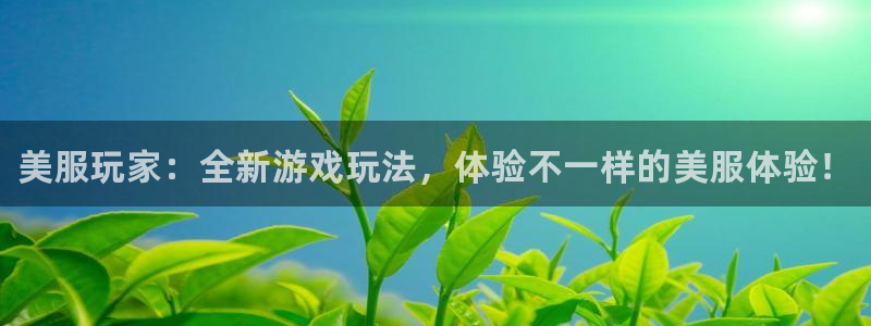 赢咖娱乐游戏：美服玩家：全新游戏玩法，体验不一样的美服体验！