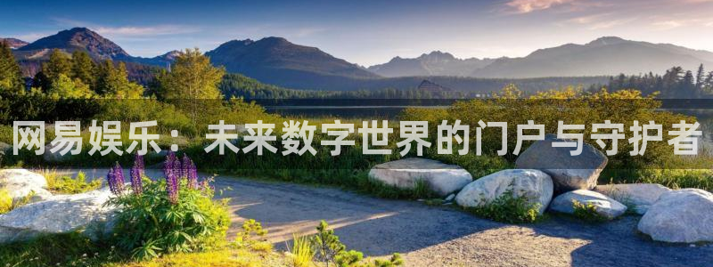 赢咖娱乐注册服务条款：网易娱乐：未来数字世界的门户与守护者