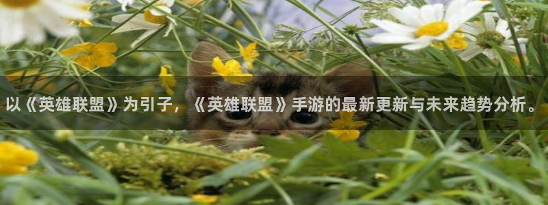 赢咖娱乐测速：以《英雄联盟》为引子，《英雄联盟》手游的最新更