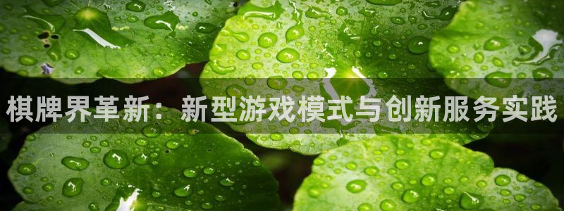 赢咖娱乐注册登录：棋牌界革新：新型游戏模式与创新服务实践