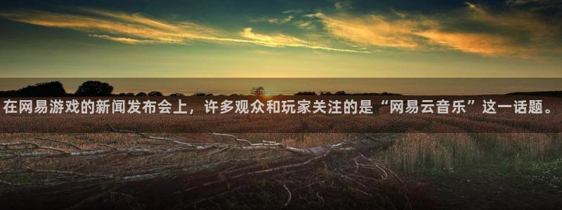 赢咖娱乐平台注册资金多少：在网易游戏的新闻发布会上，许多观众