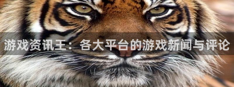 赢咖娱乐游戏：游戏资讯王：各大平台的游戏新闻与评论