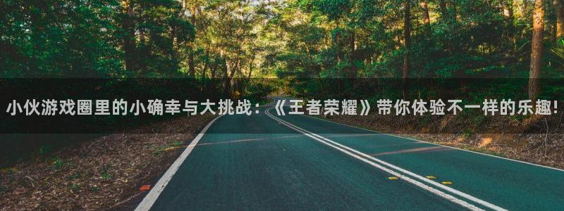 赢咖娱乐平台官网注册：小伙游戏圈里的小确幸与大挑战：《王者荣