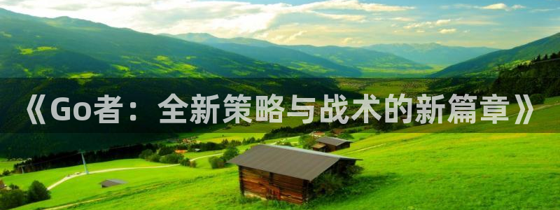 赢咖娱乐4主管：《Go者：全新策略与战术的新篇章》