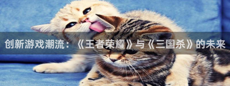 赢咖娱乐2首页登录：创新游戏潮流：《王者荣耀》与《三国杀》的