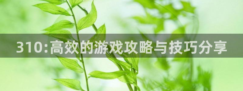 赢咖娱乐登陆测速：310:高效的游戏攻略与技巧分享