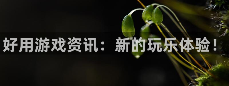 赢咖娱乐平台登录入口：好用游戏资讯：新的玩乐体验！