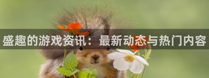 赢咖娱乐主管：盛趣的游戏资讯：最新动态与热门内容