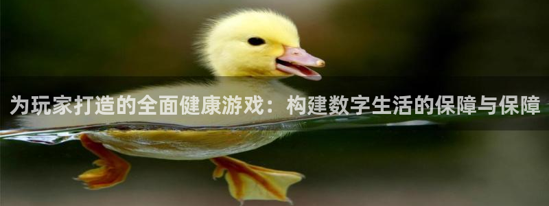 赢咖娱乐在线登录：为玩家打造的全面健康游戏：构建数字生活的保