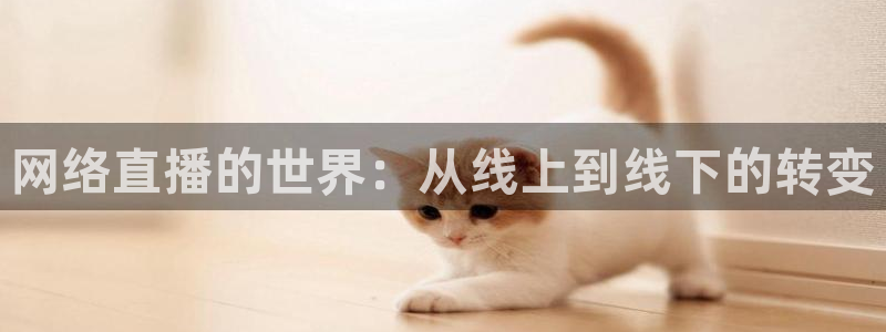 88看球直播官网入口