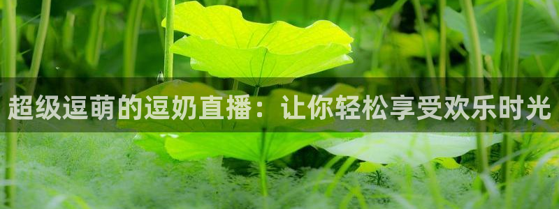 88看球nba直播视频在线直播：超级逗萌的逗奶直播：让你轻松享受欢乐时光