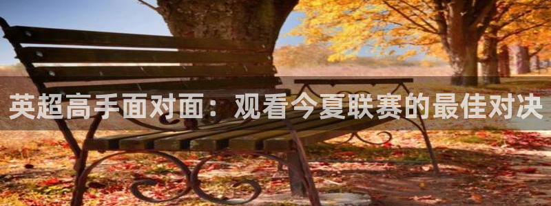 88看球直播无插件nba