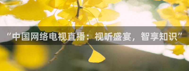 88看球直播app下载：“中国网络电视直播：视听盛宴，智享知识”