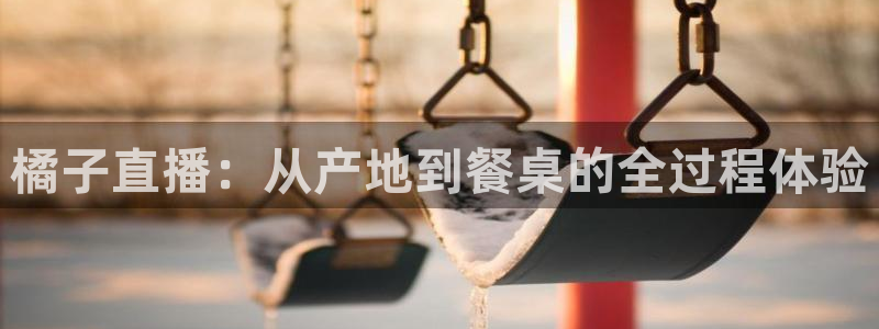 88看球nba足球直播：橘子直播：从产地到餐桌的全过程体验