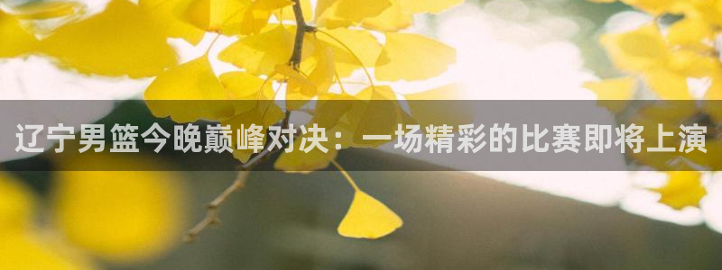 88看球直播高清：辽宁男篮今晚巅峰对决：一场精彩的比赛即将上演
